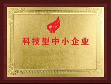 国家科技部“科技型中小企业”
